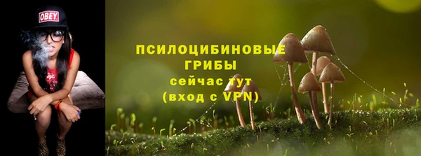 каннабис Алзамай
