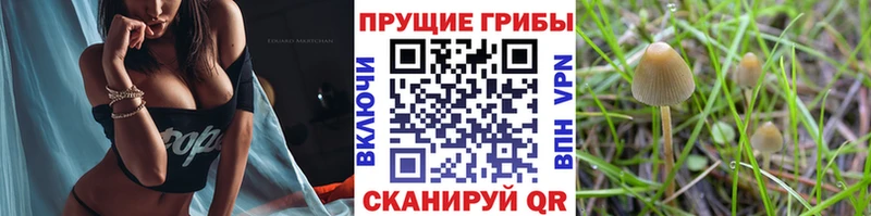 Псилоцибиновые грибы ЛСД продажа наркотиков Безенчук